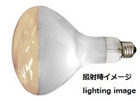 IR INCANDESCENT LAMP